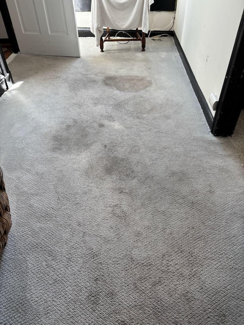 stained carpeting