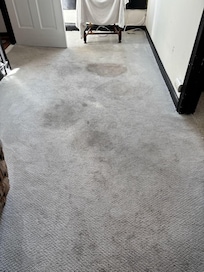 stained carpeting