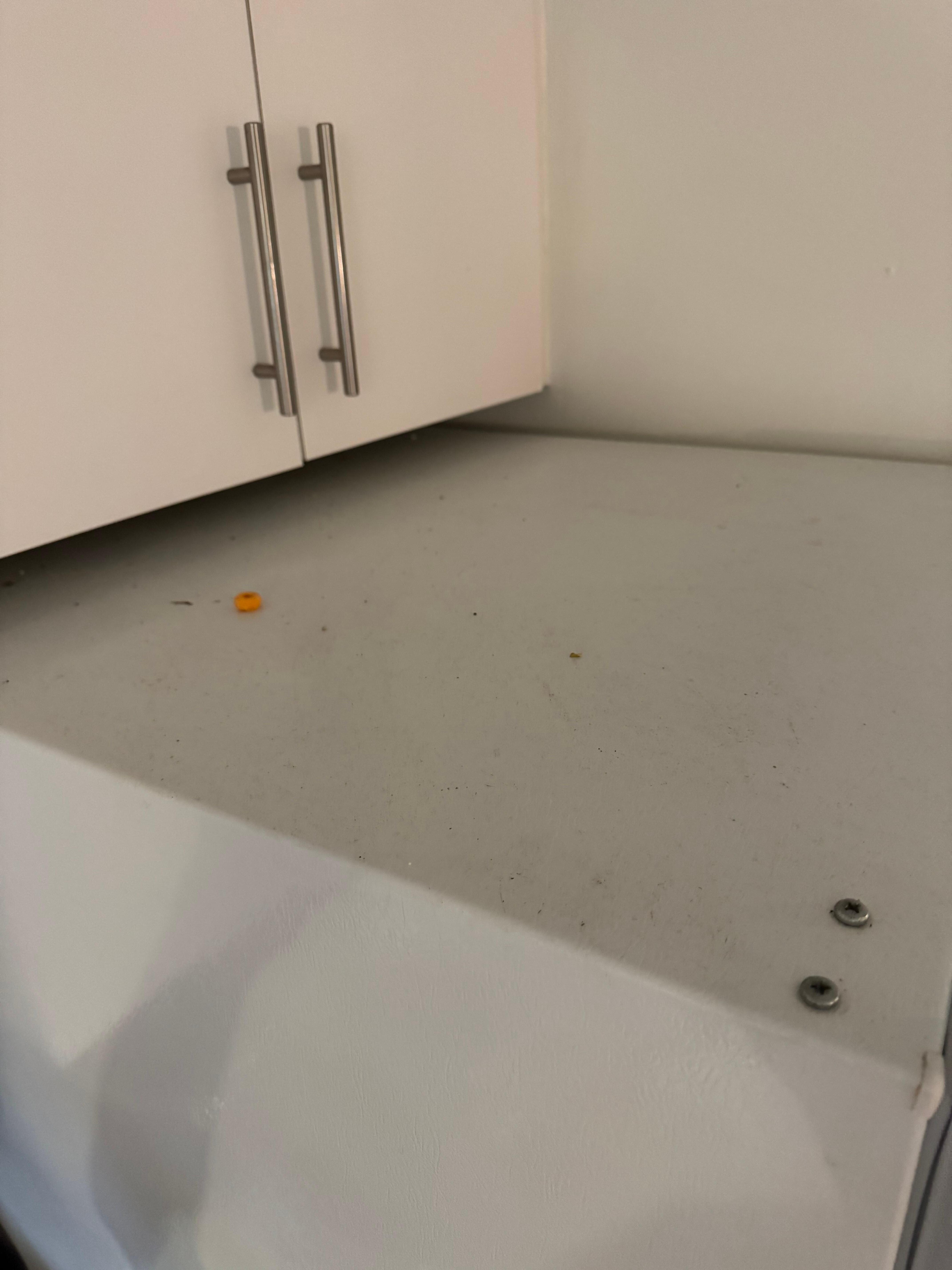 Dirty fridge