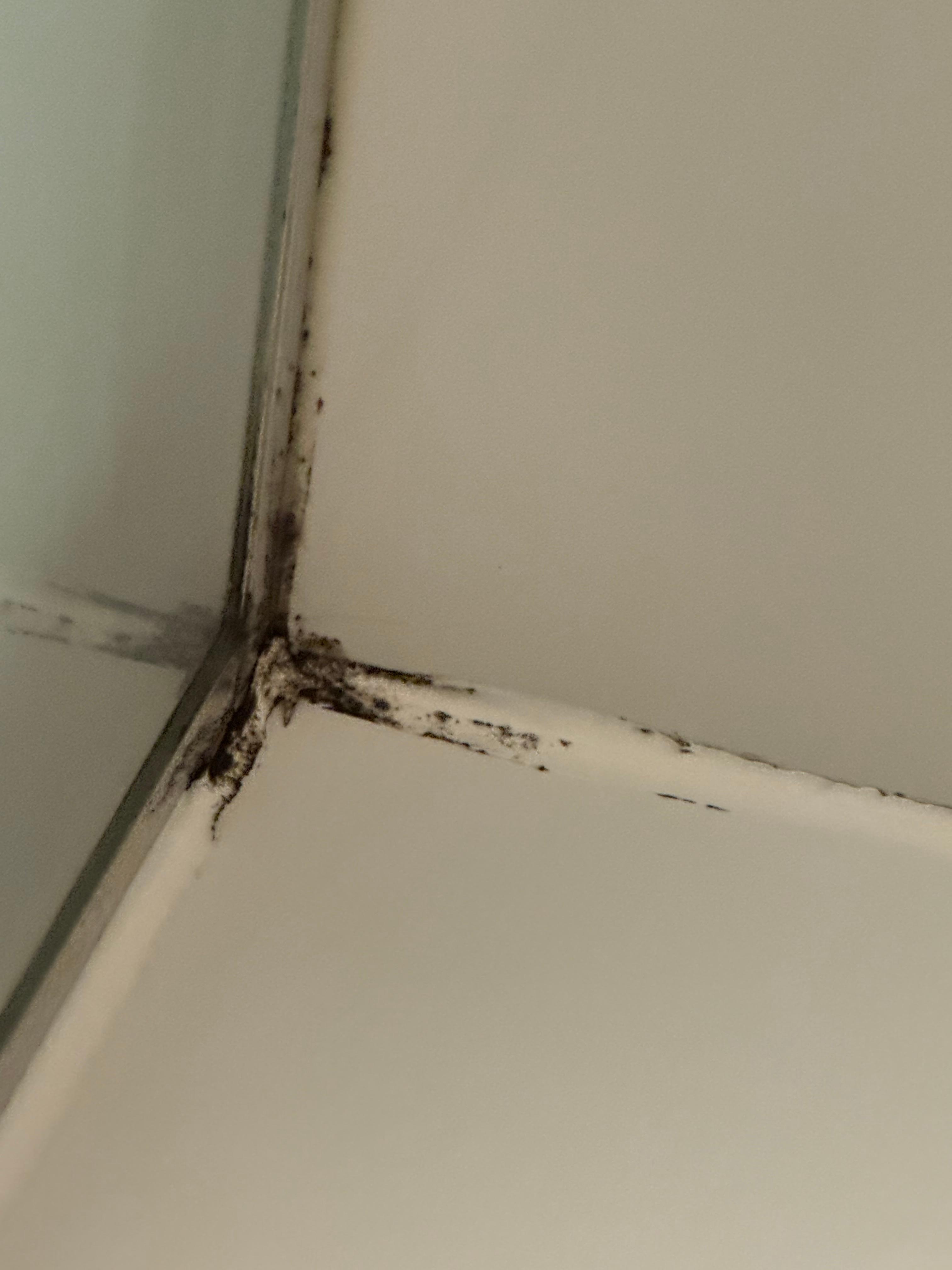 Moldy bathroom