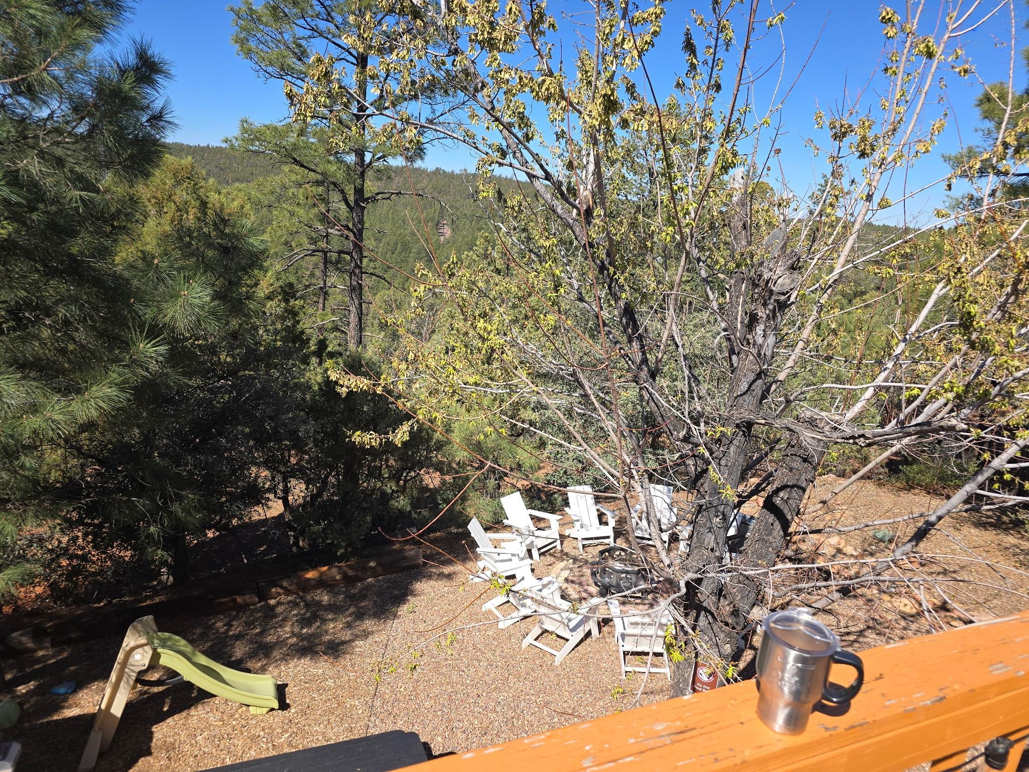 Loved chilling by the fireplace and roasting marshmallows!!