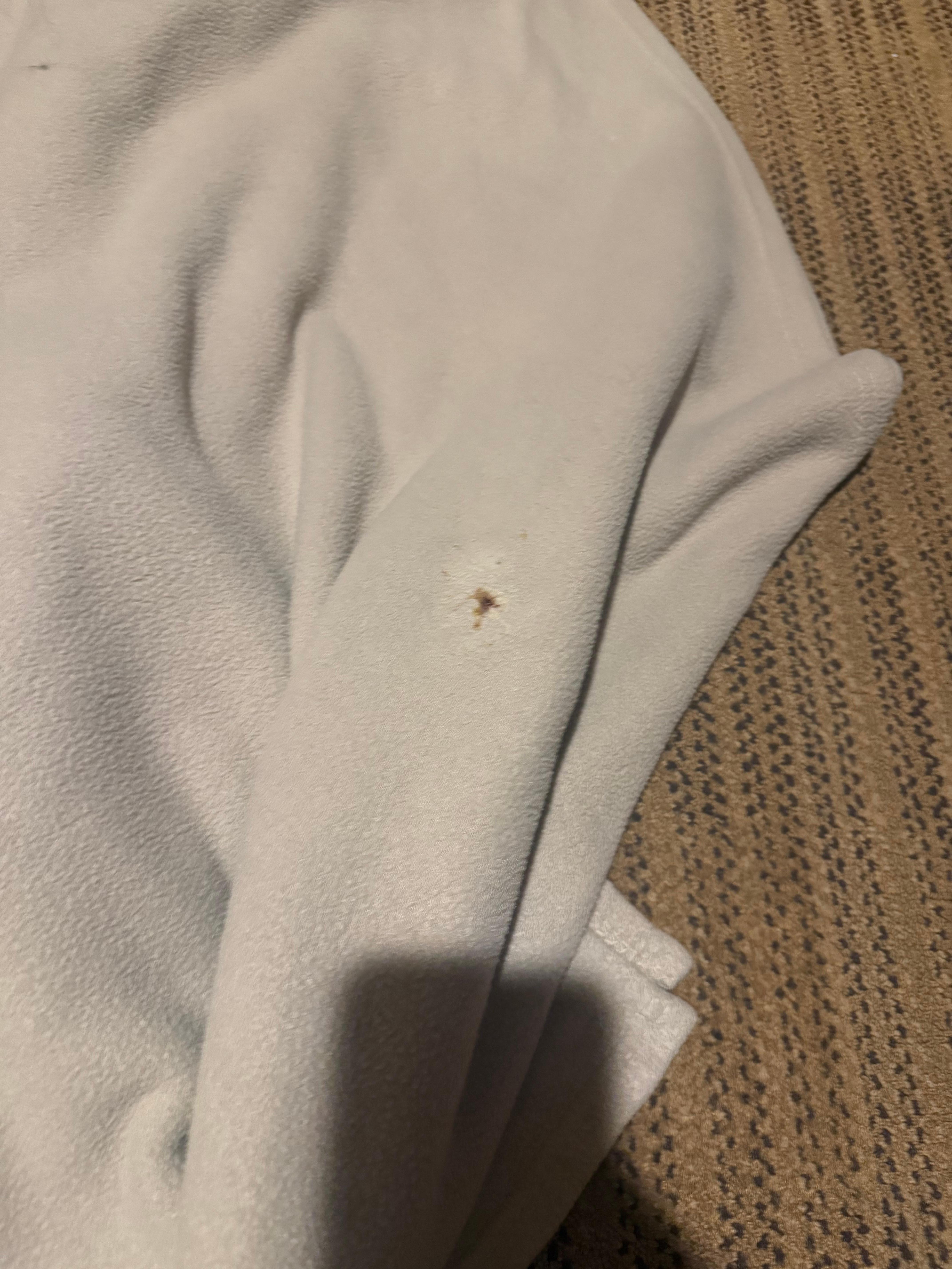 Cockroaches in blanket 