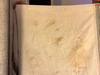 Dirty towel handed over by front desk