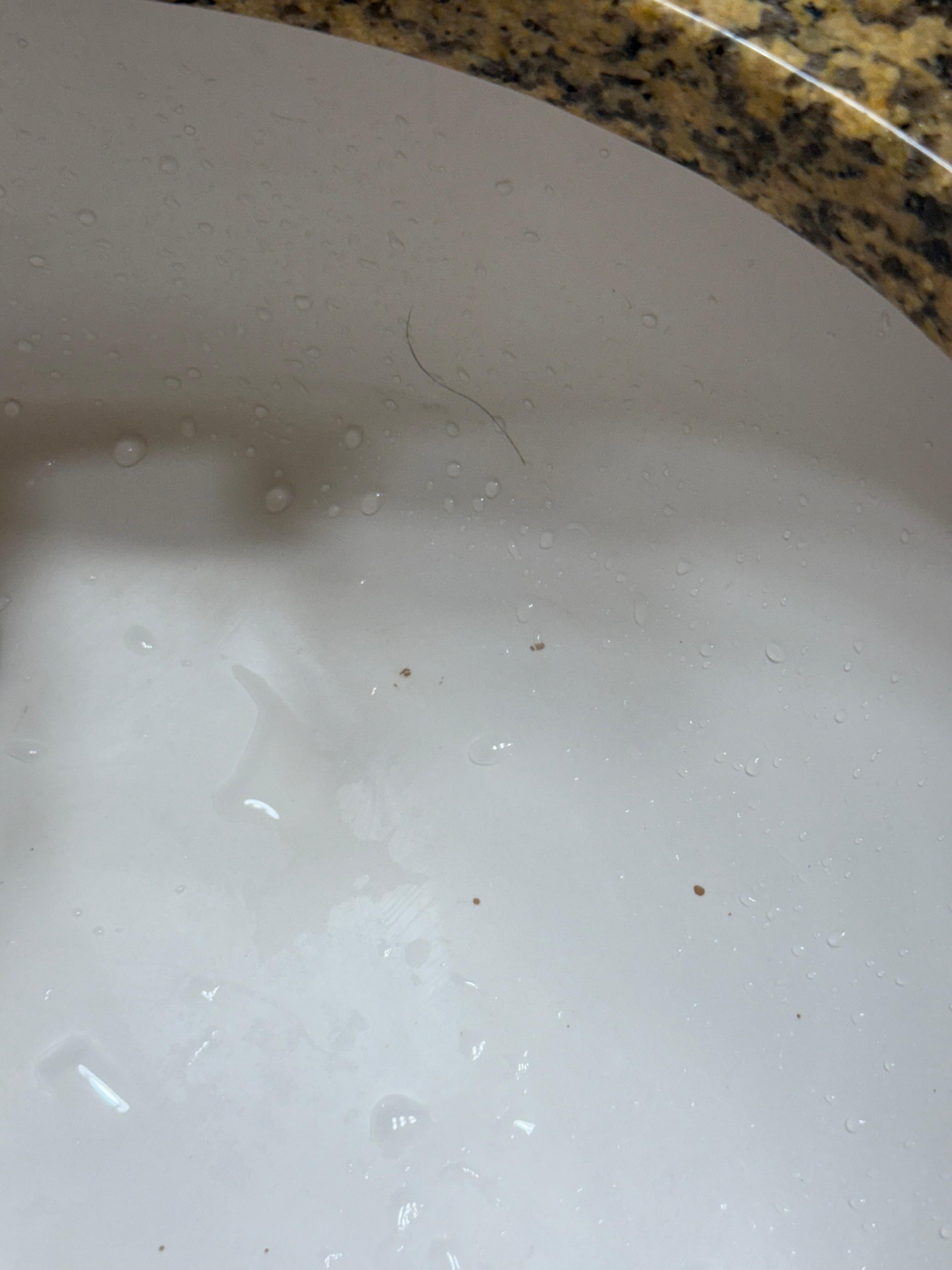Hair in the sink