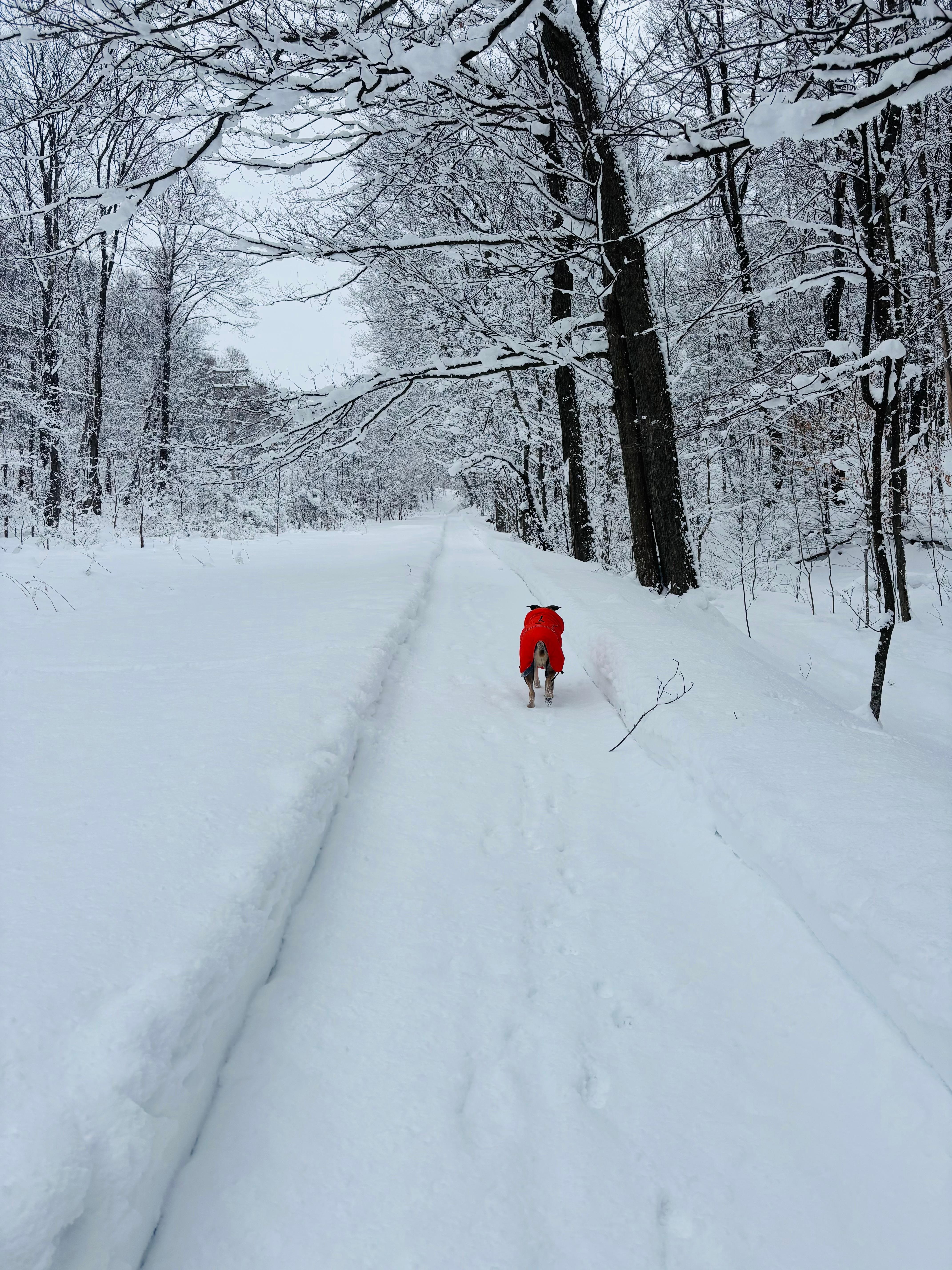 Our dog Oakley loved the stay