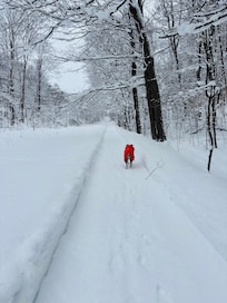Our dog Oakley loved the stay