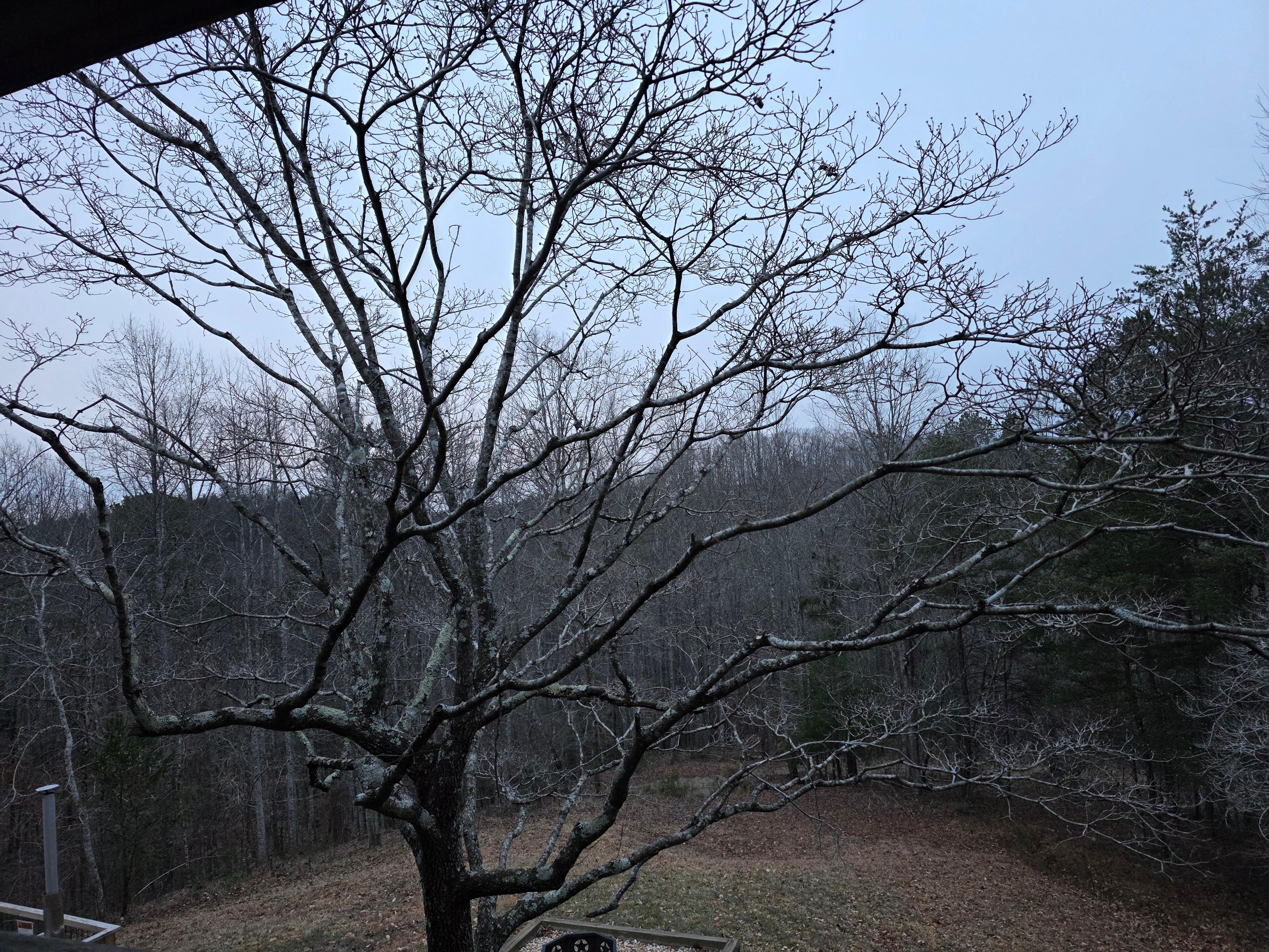 View from the deck (partial)