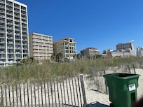 The shore