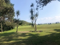 The gardens