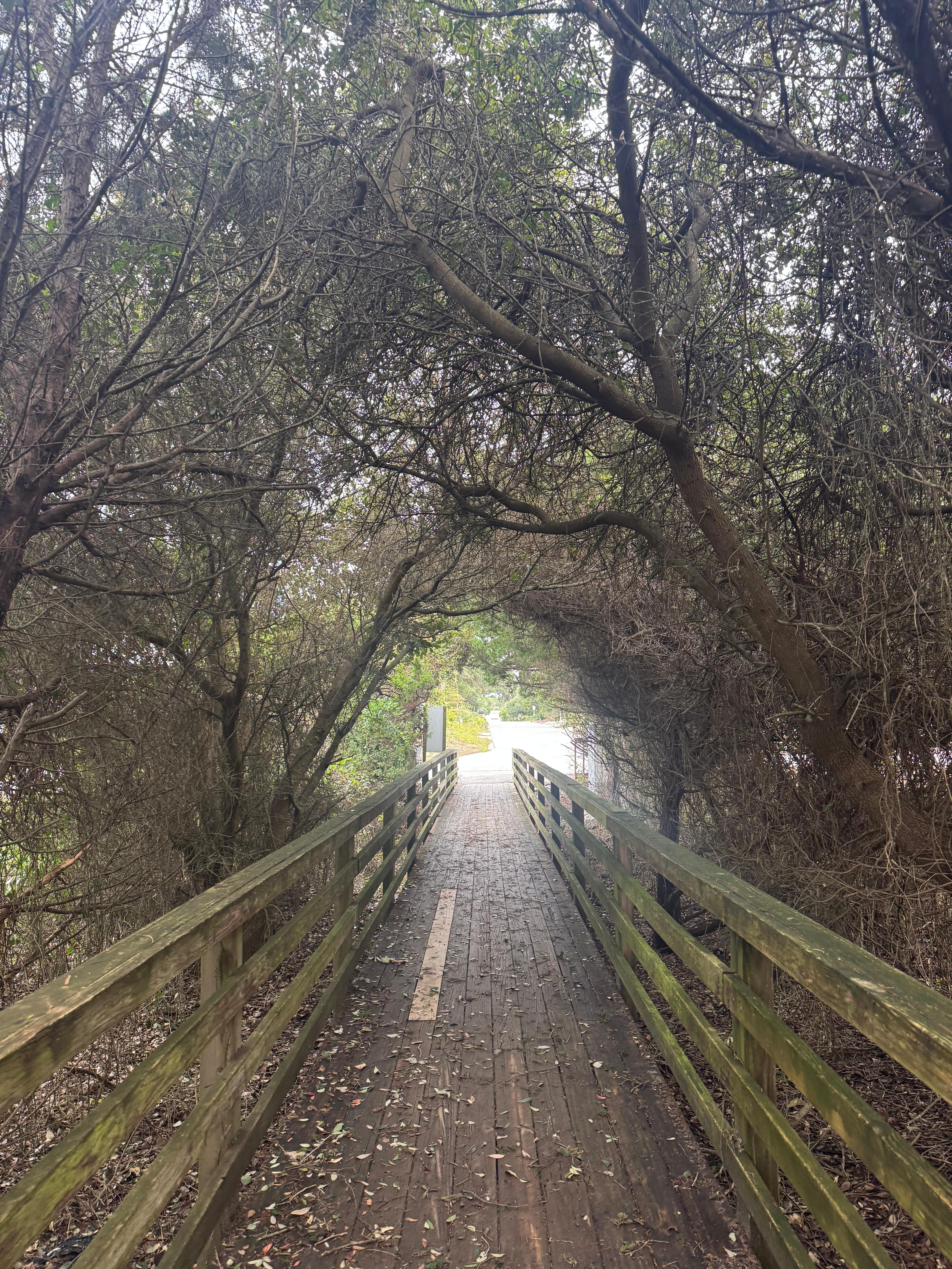 Beach access is extremely close by-