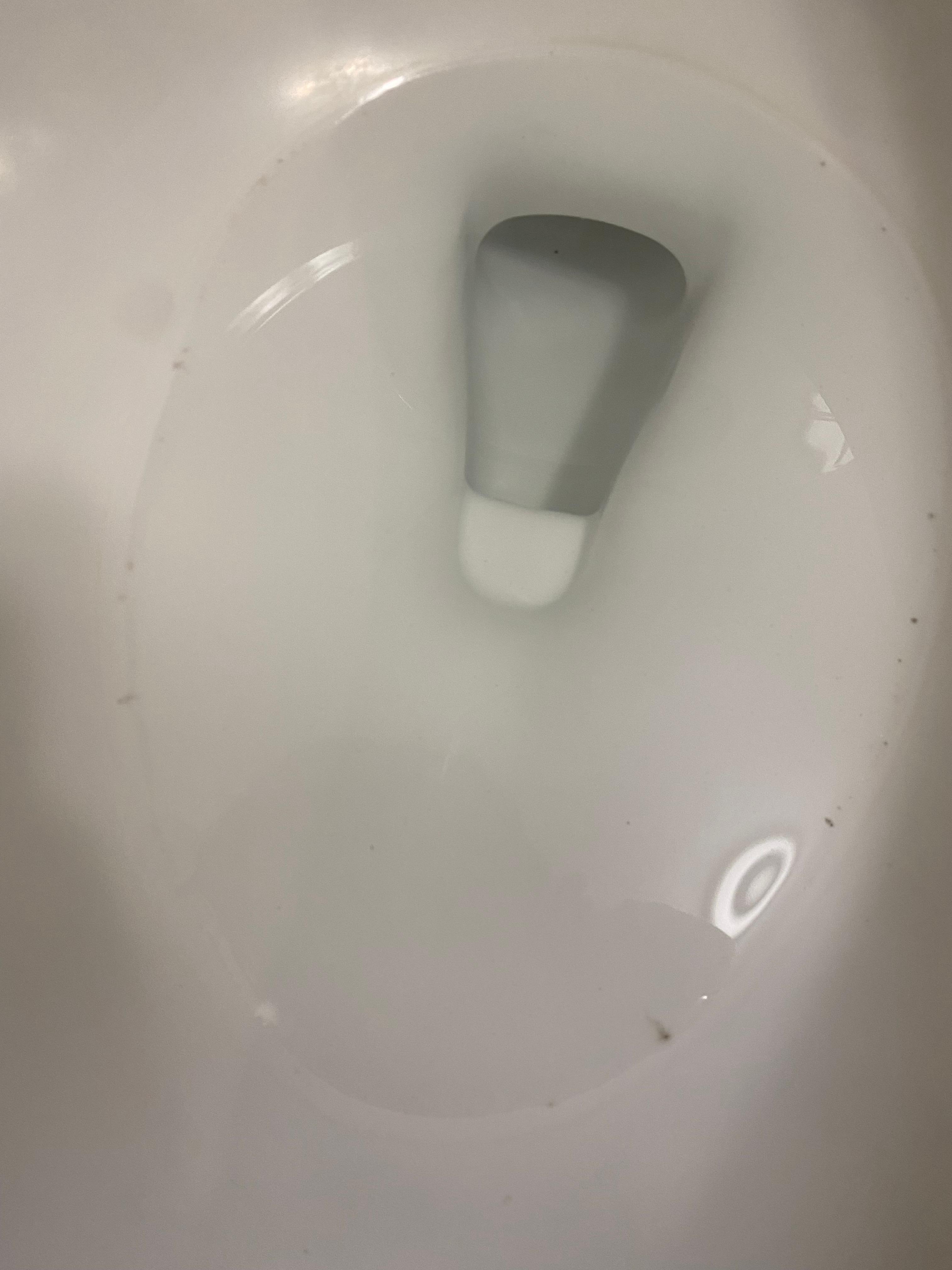 Floaties left behind in toilet water.