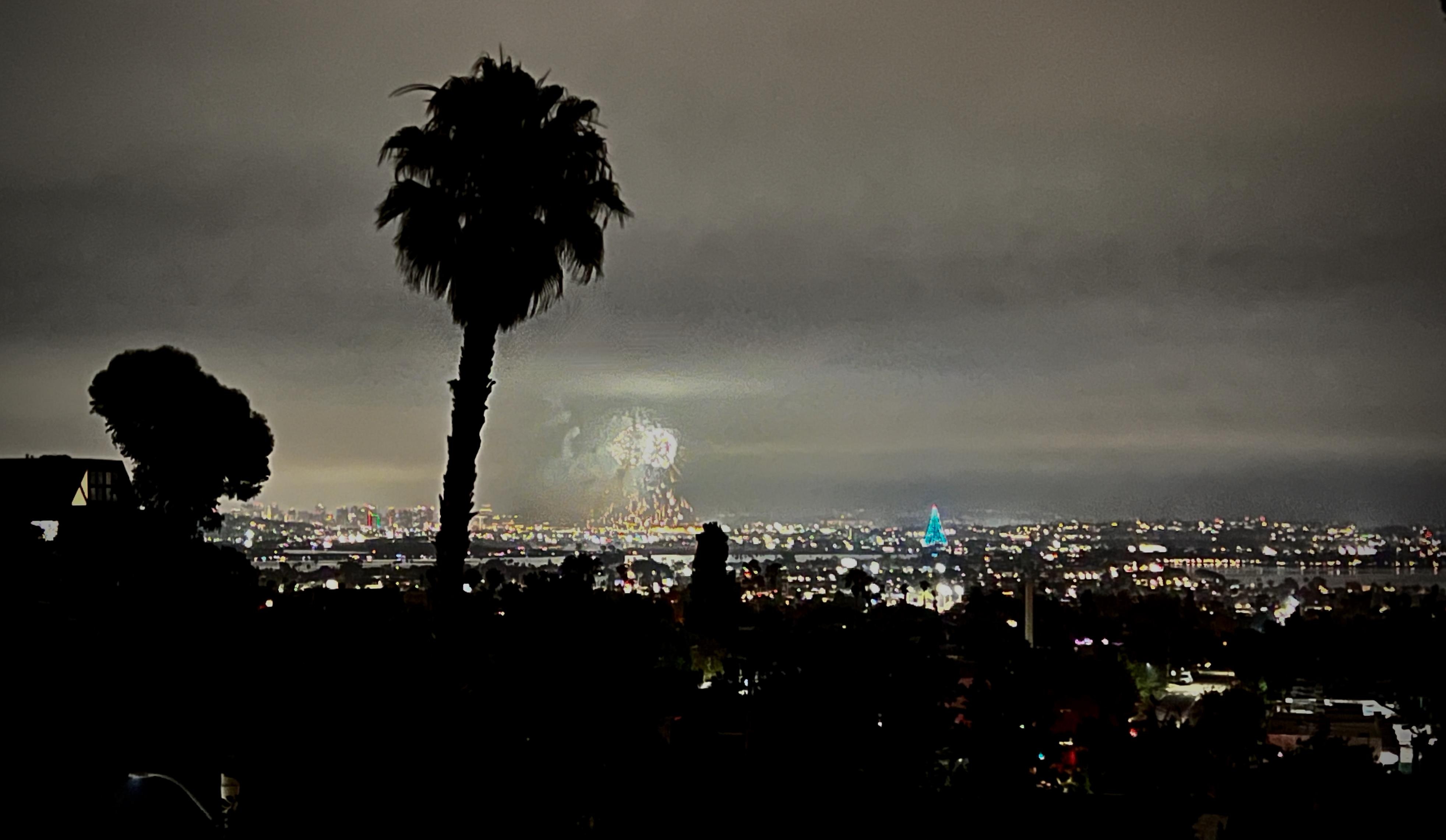 Not-so-great shot of the fireworks. Handheld, sorry.