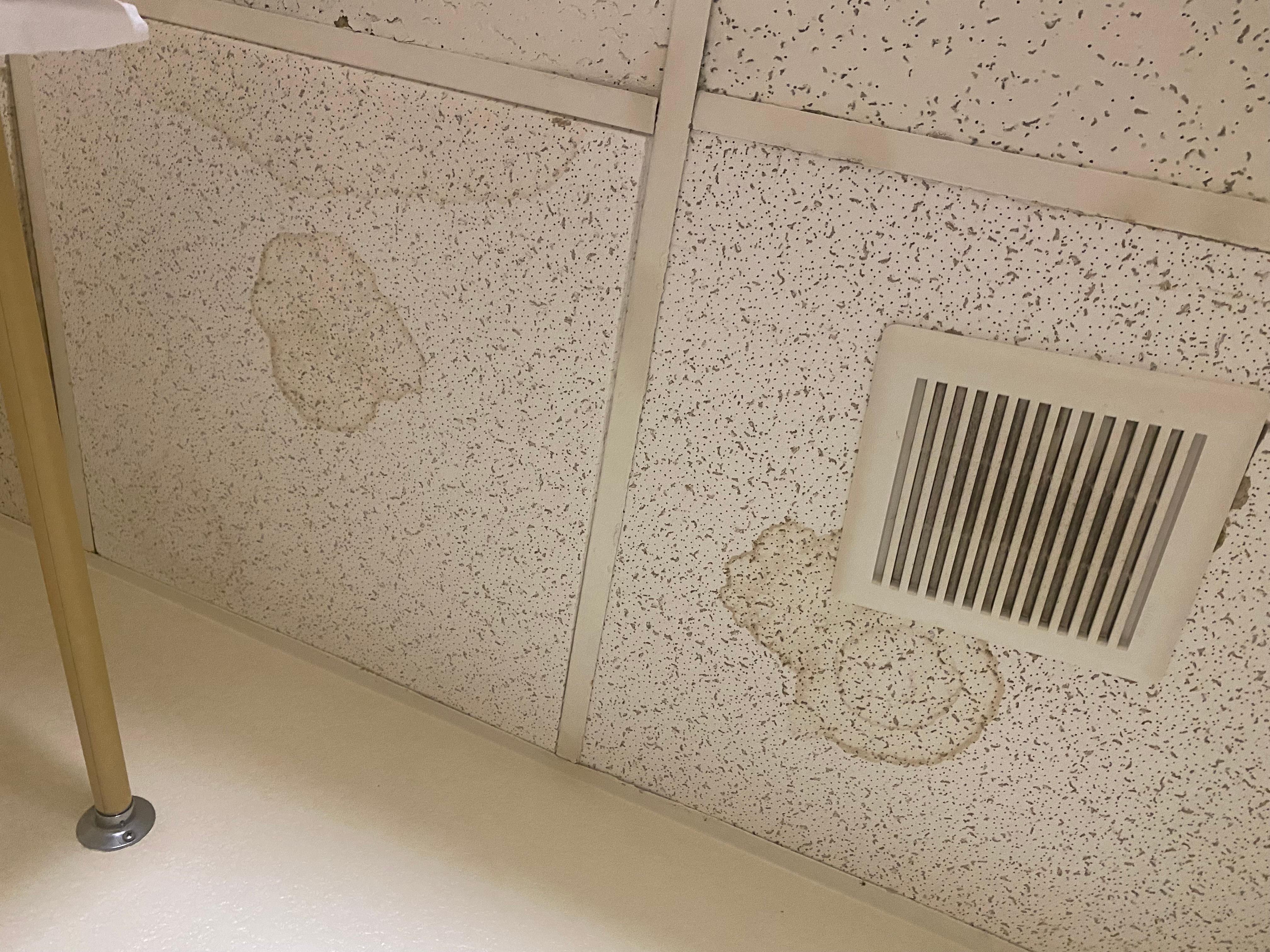 Bathroom ceiling 