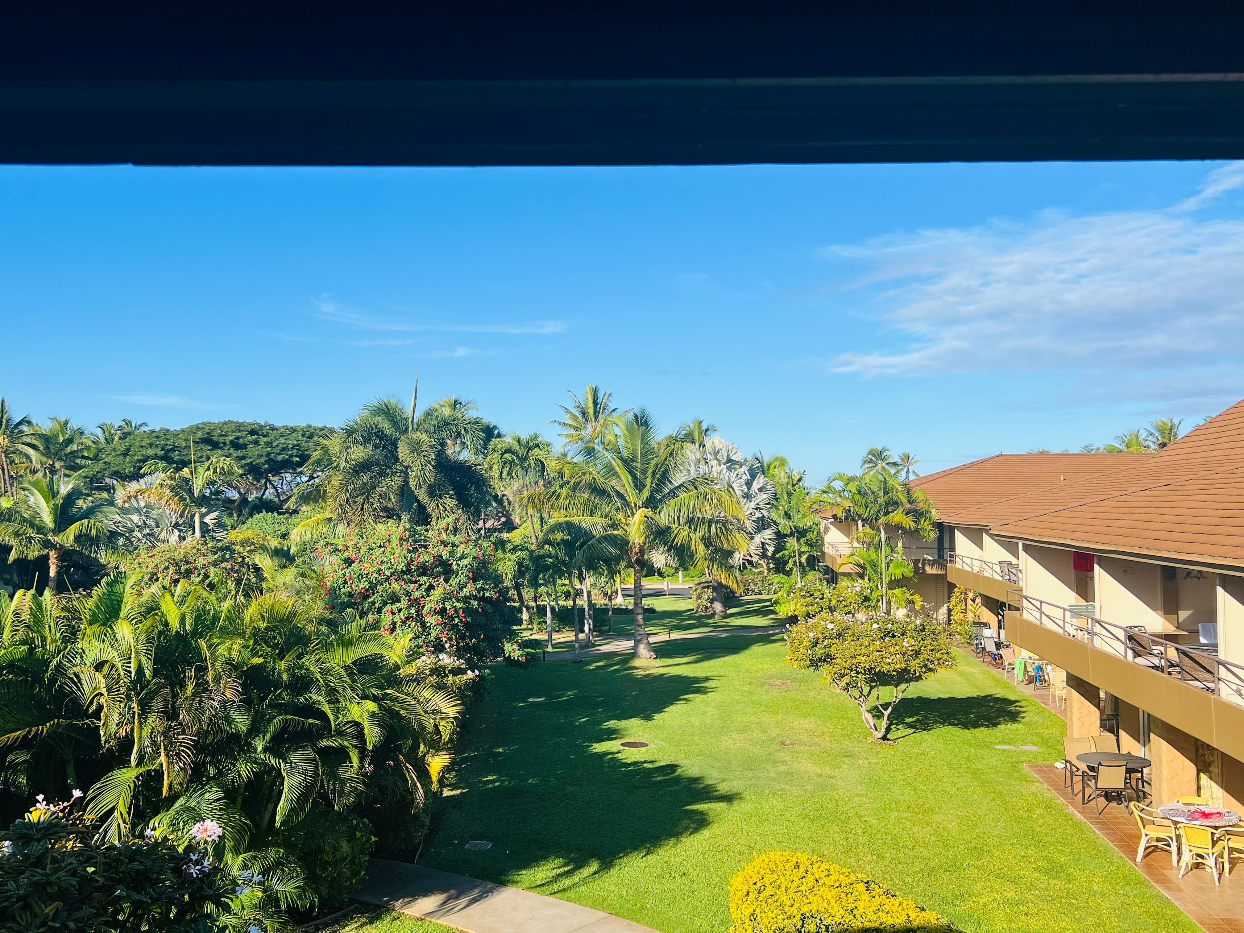 Our room view at the Coconut Building.