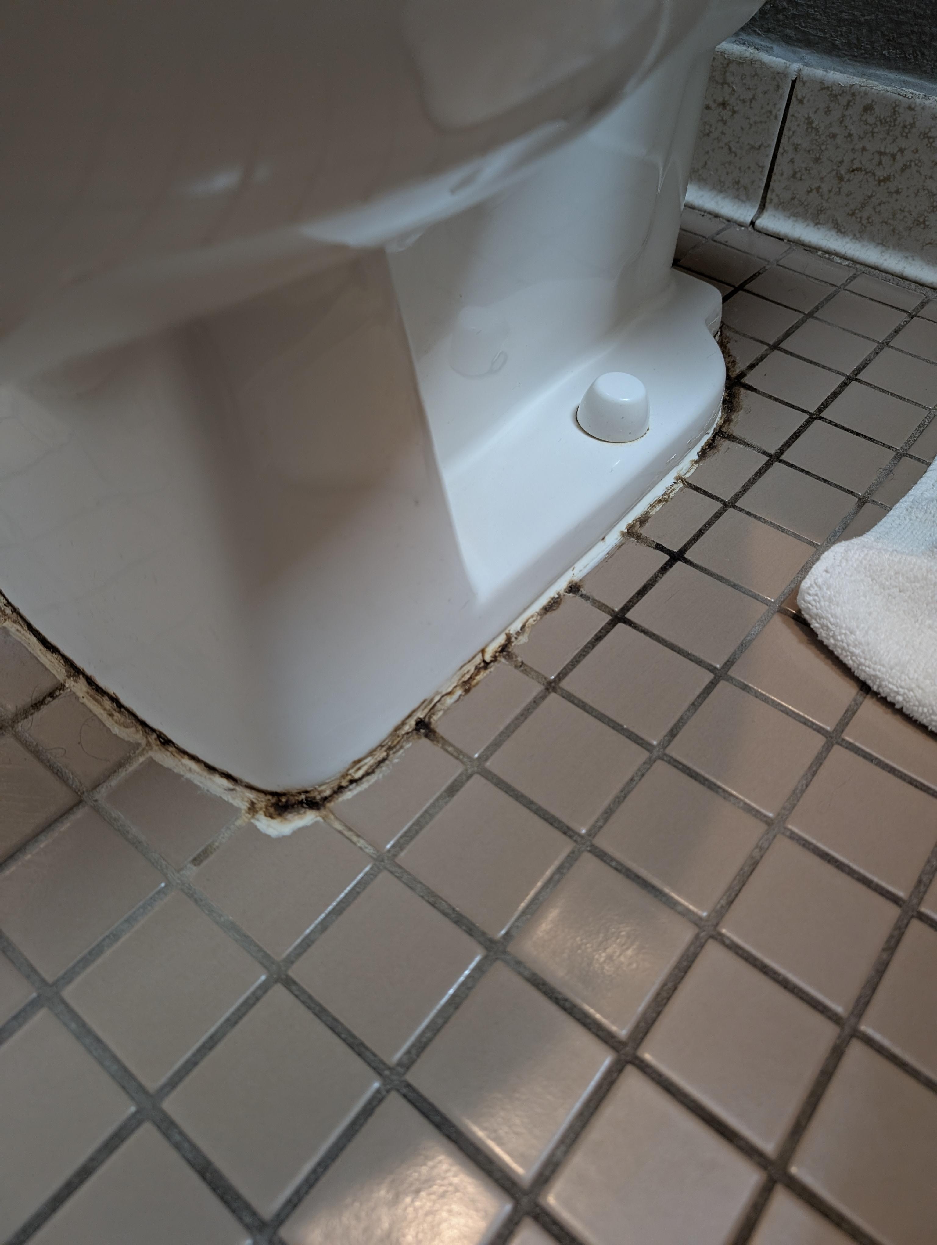 mildew (?) around toilet