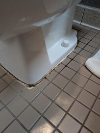 mildew (?) around toilet