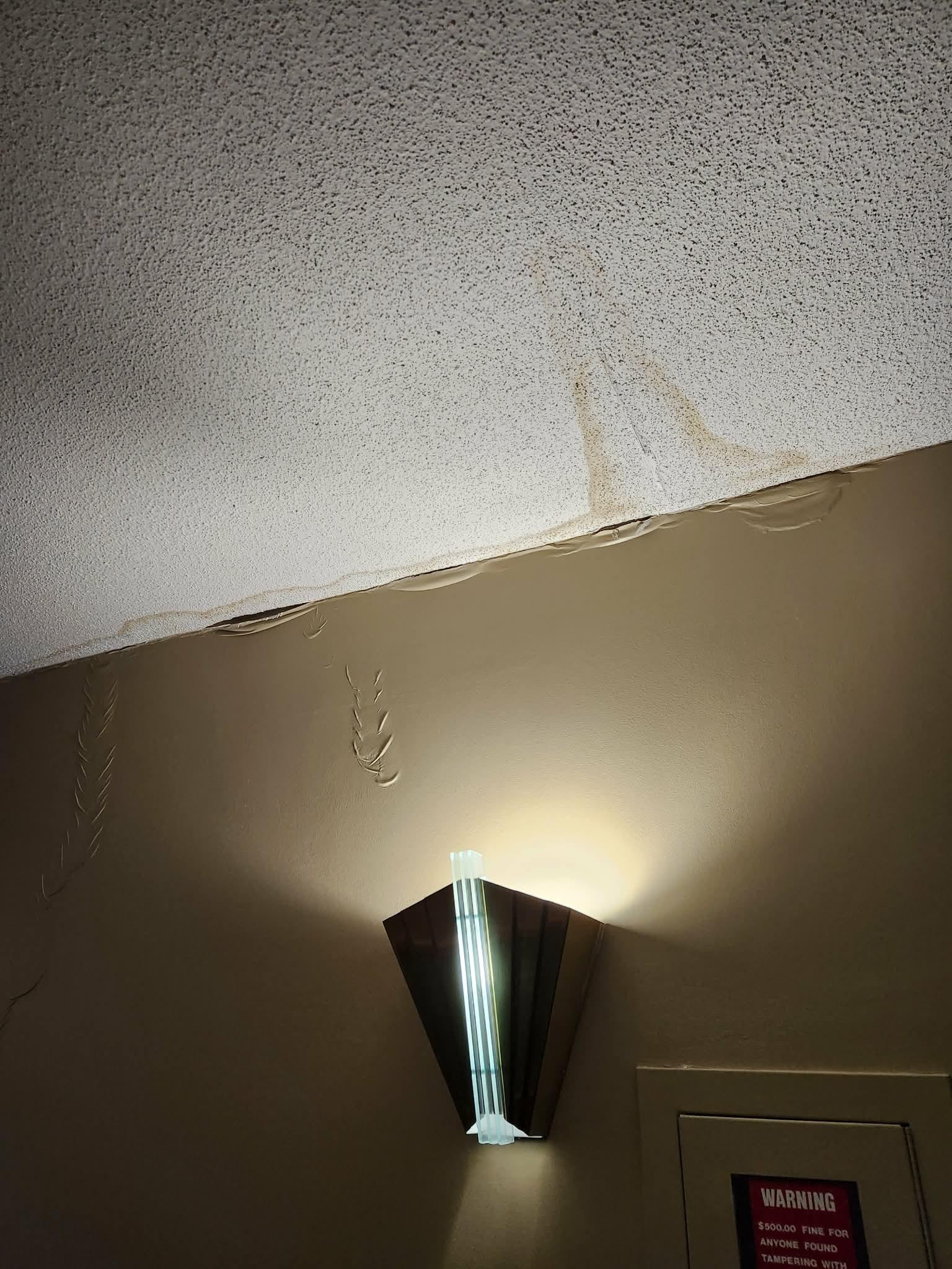 Hallway to room- water damage on ceiling. This was everywhere.