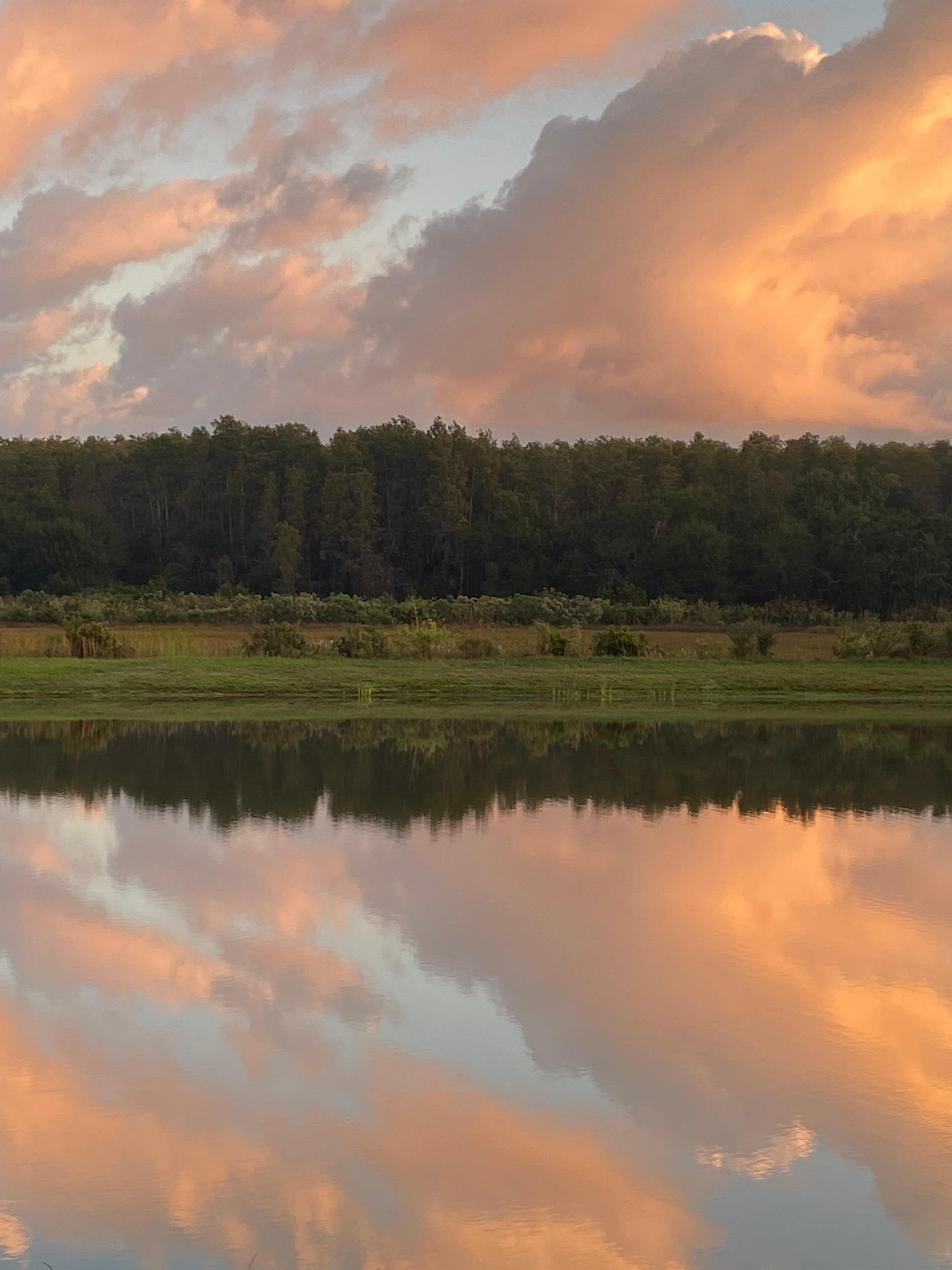 Cotton candy reflections.