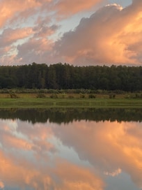 Cotton candy reflections.