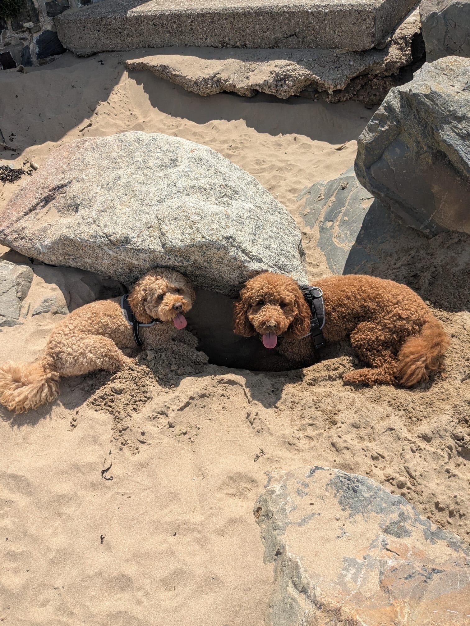 Instow beach