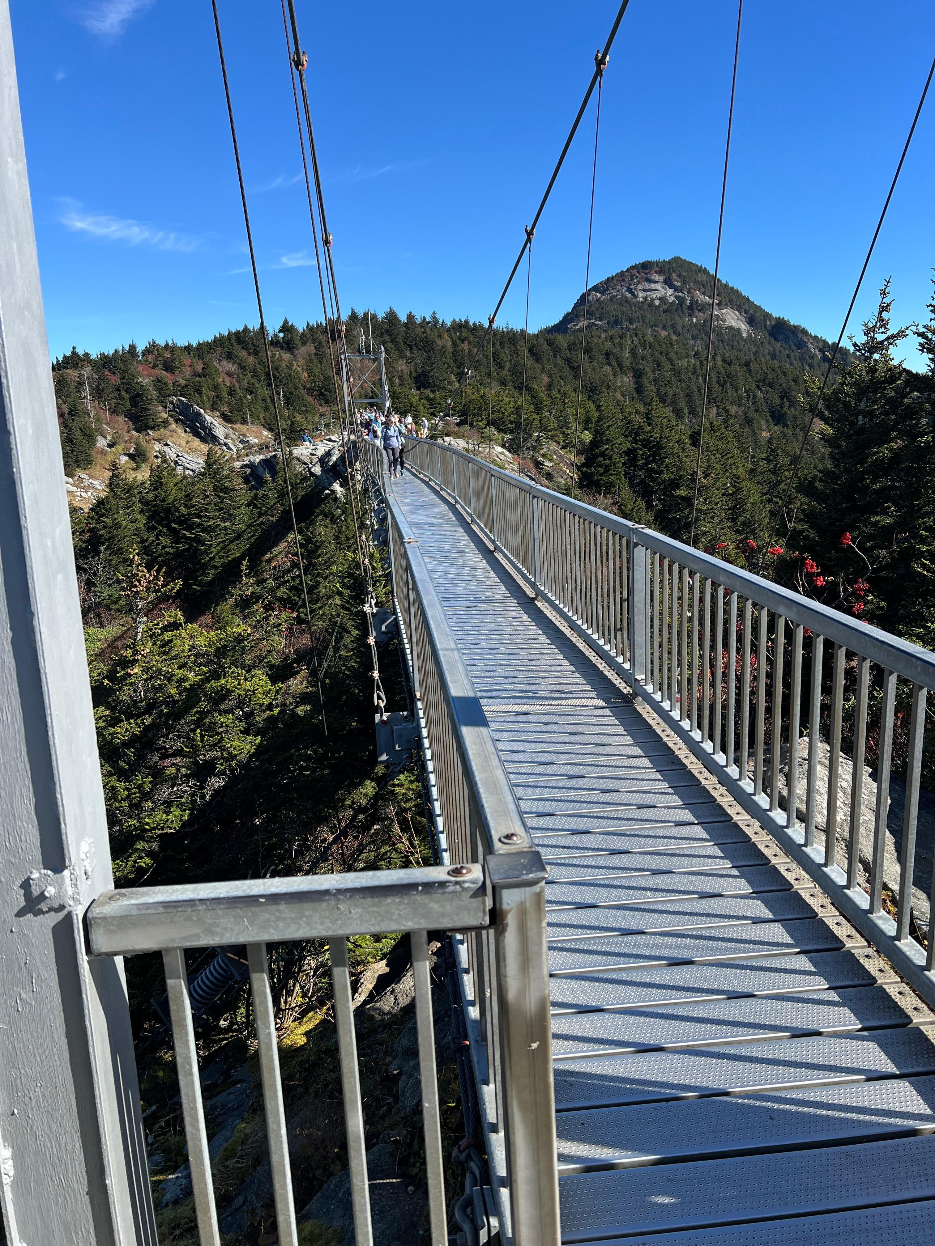 Bridge at Grandfather Mountain
