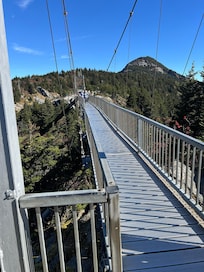 Bridge at Grandfather Mountain