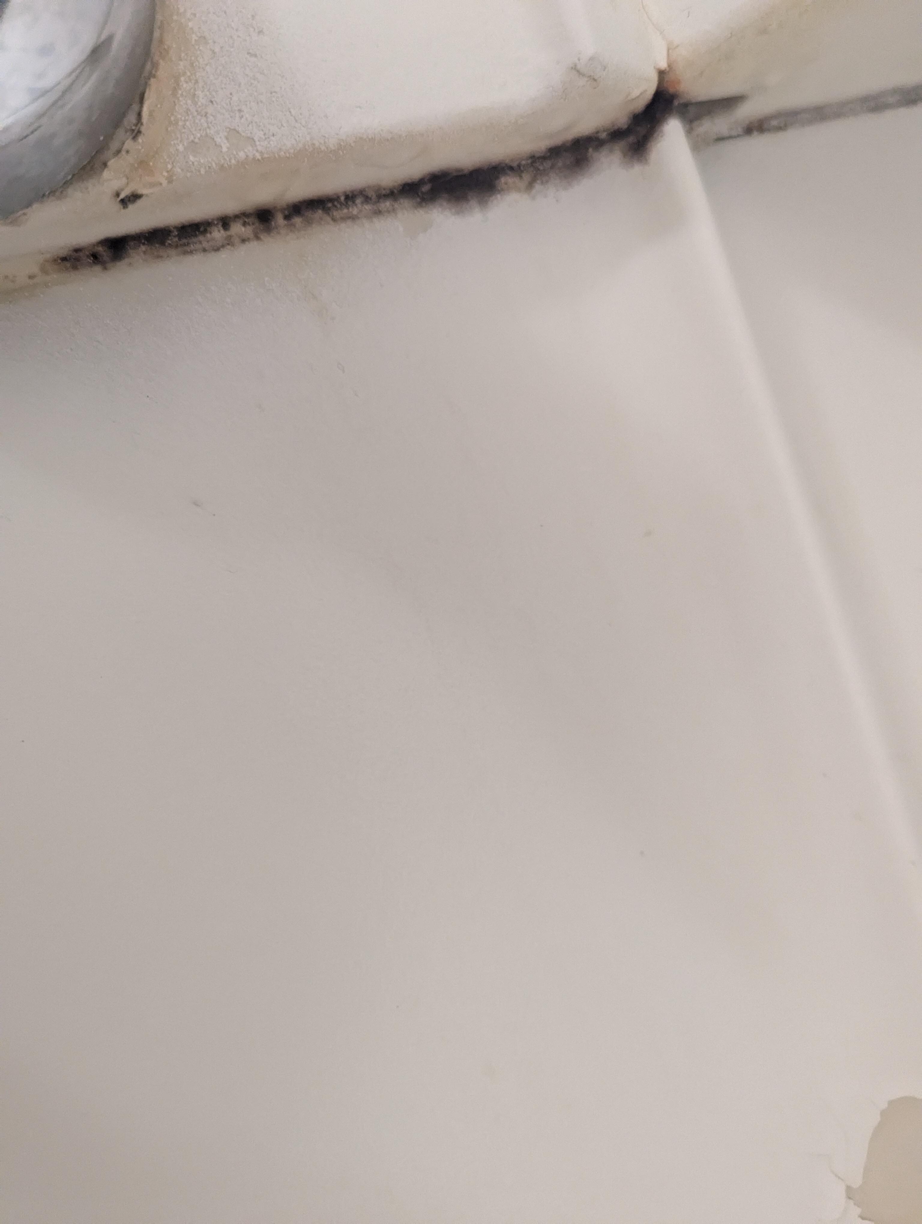 Mold in shower/tub enclosure