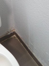 Bathroom stucco crumbling
