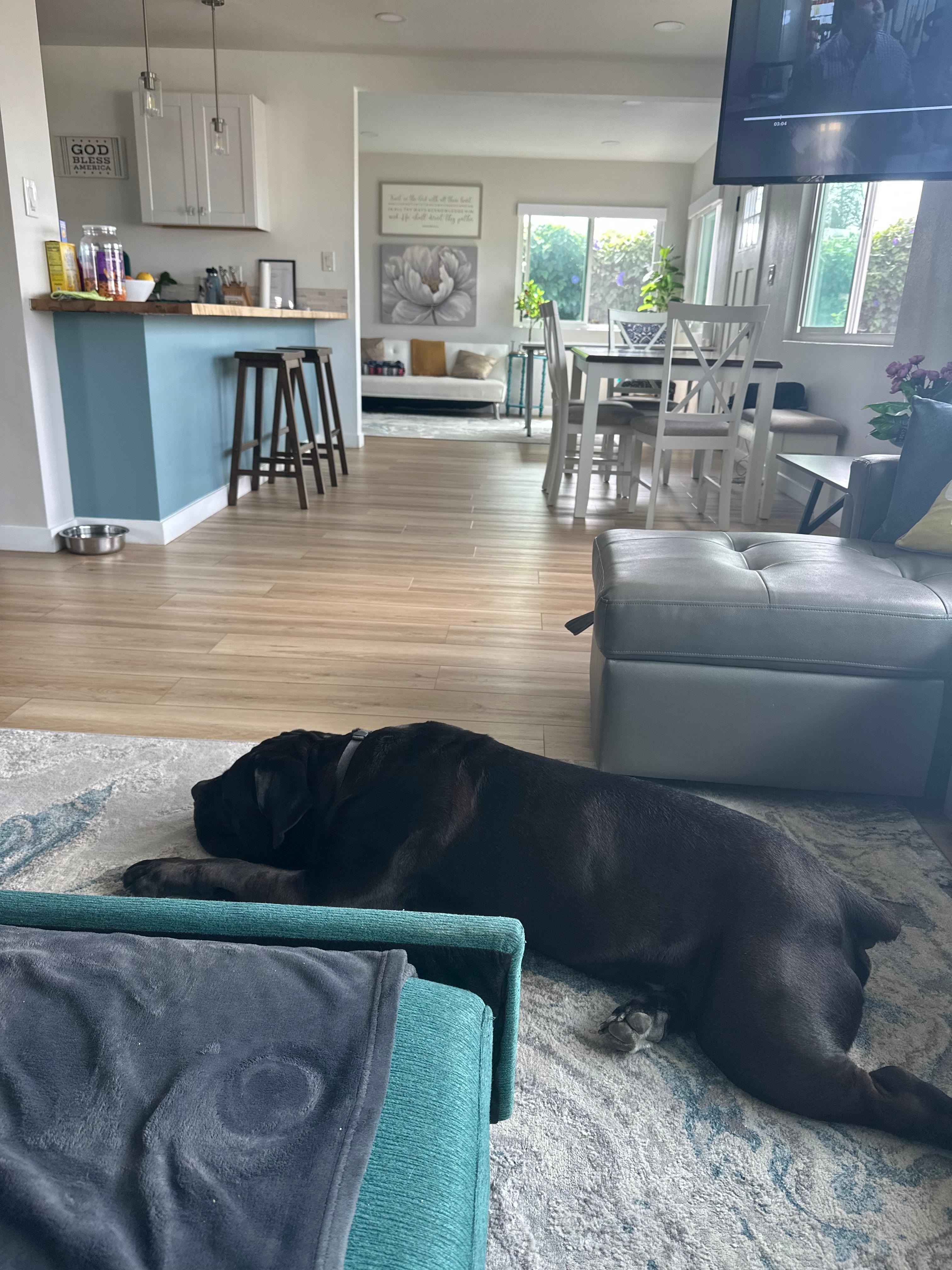 Hanging out in the living space