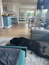 Hanging out in the living space