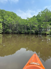 Heading out on a paddle trail.