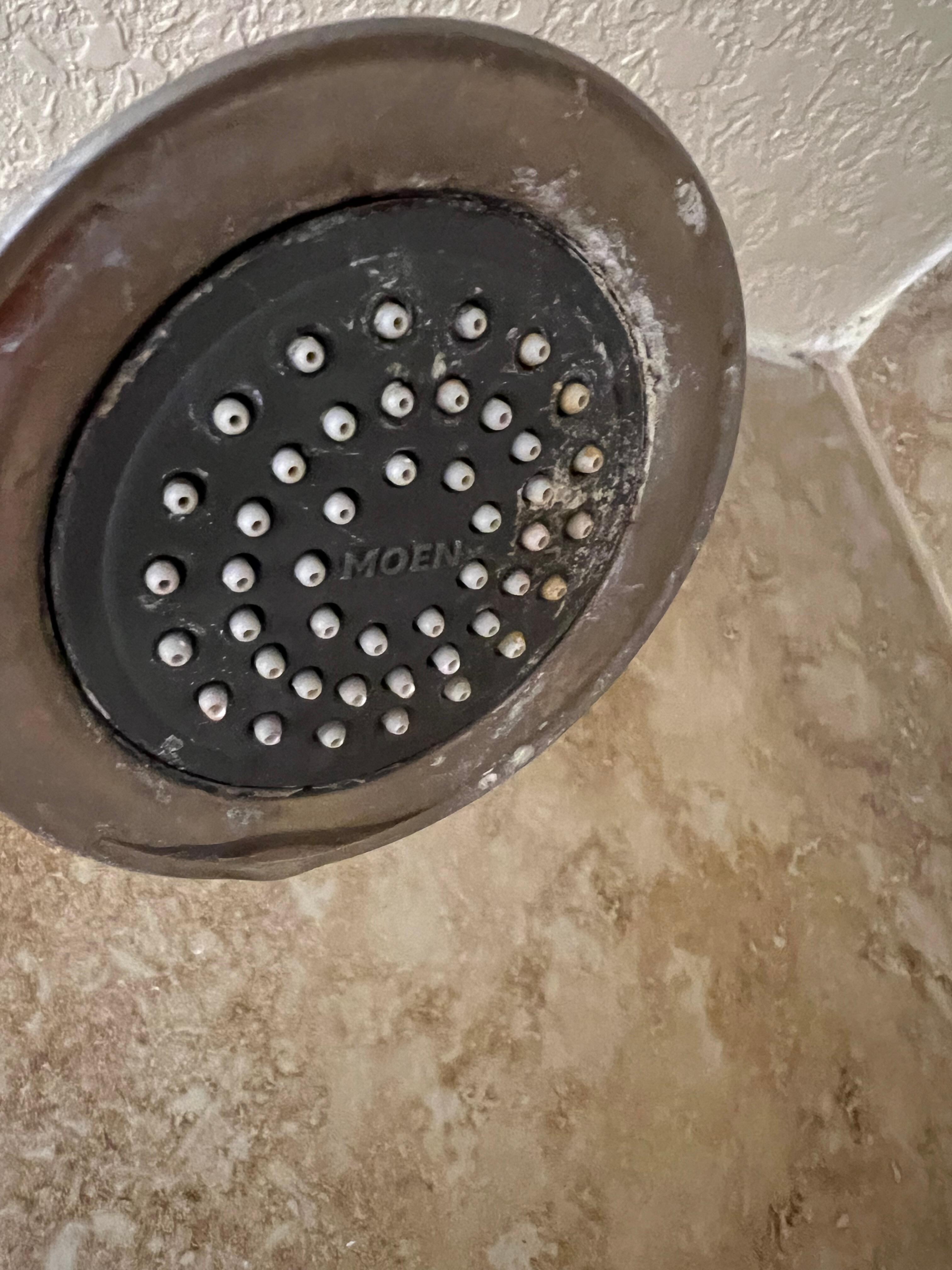 Unclean shower