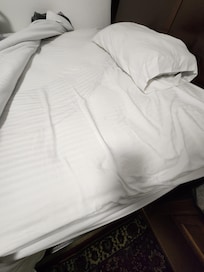 Sheets had hair on them and you could see they had not been changed.