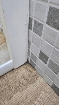 "Kleines" Badezimmer: Dreck und stinkender Abfluss