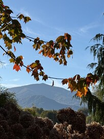 View from our porch