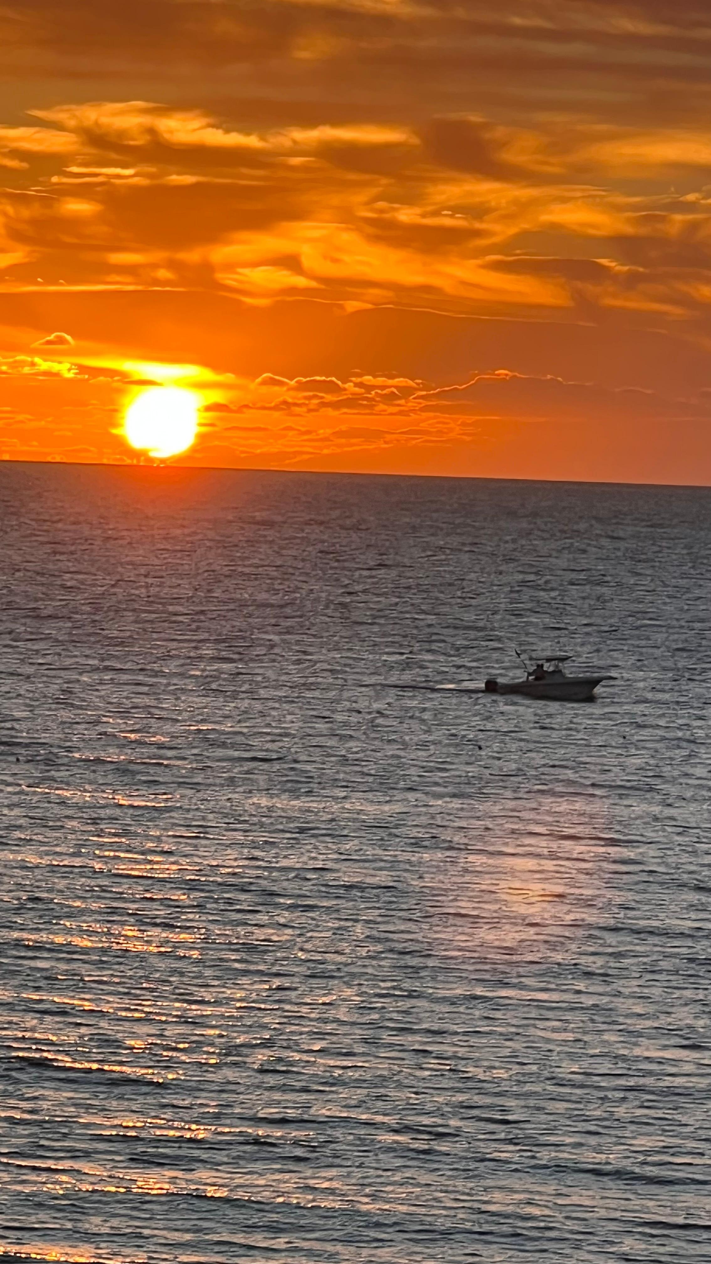 From the balcony and zoomed in. 