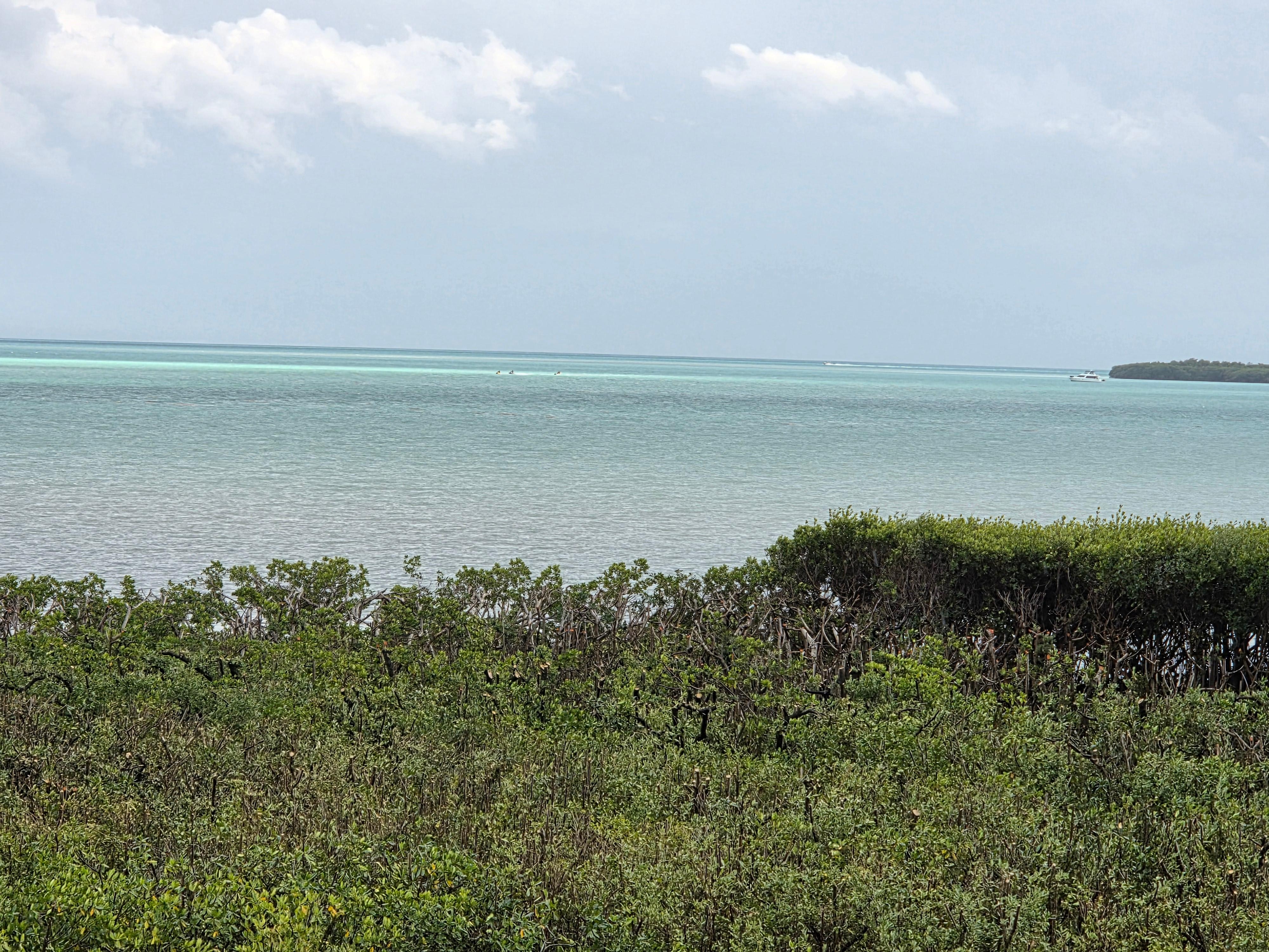 View from the balcony!