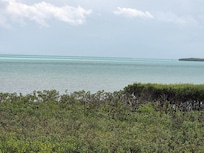 View from the balcony!