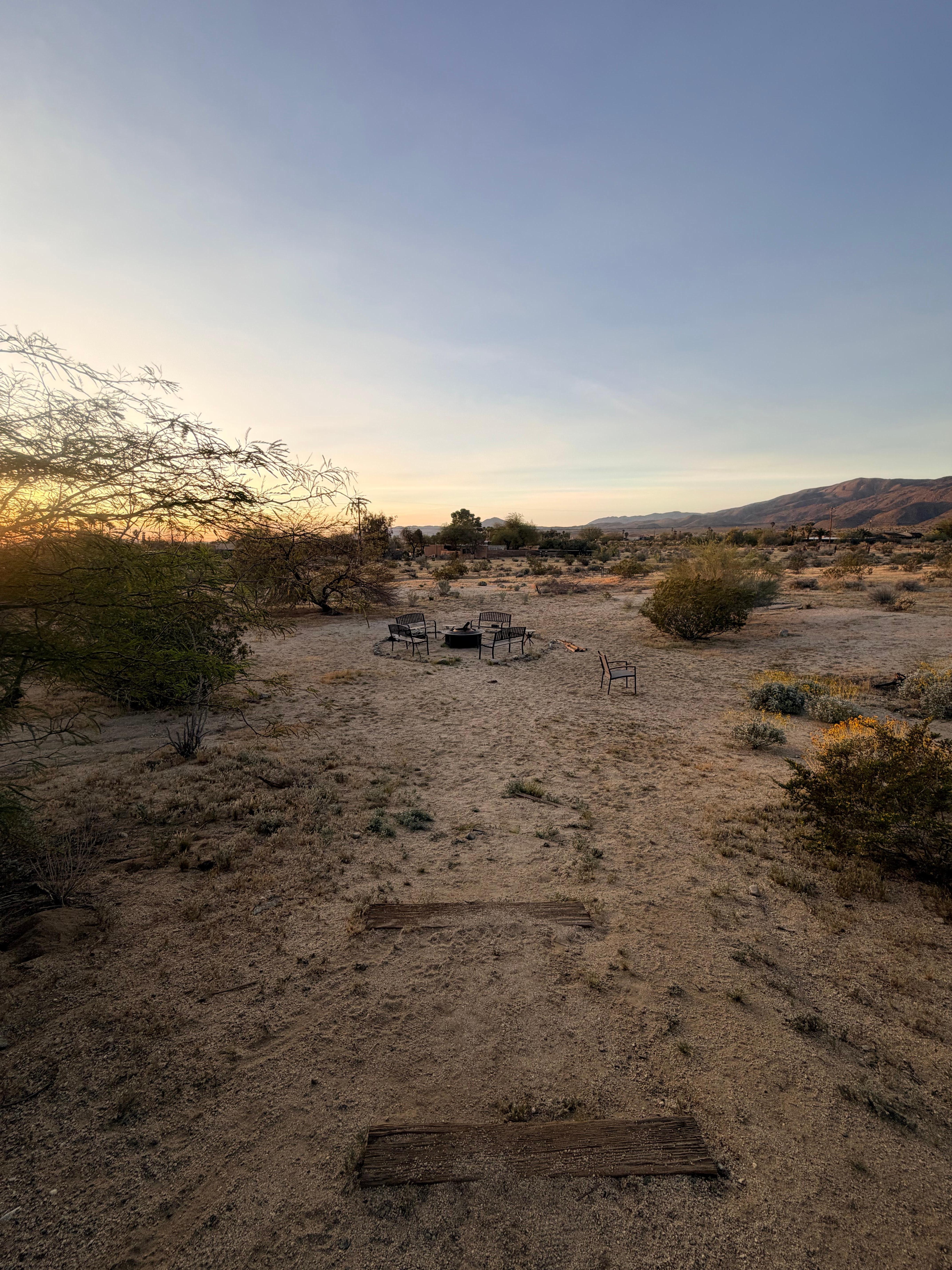 Sunrise in the backyard. 