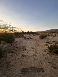 Sunrise in the backyard.
