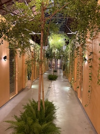 Gang buiten de kamers