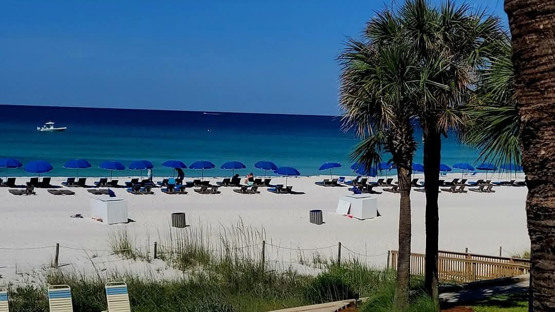 View from the Balcony