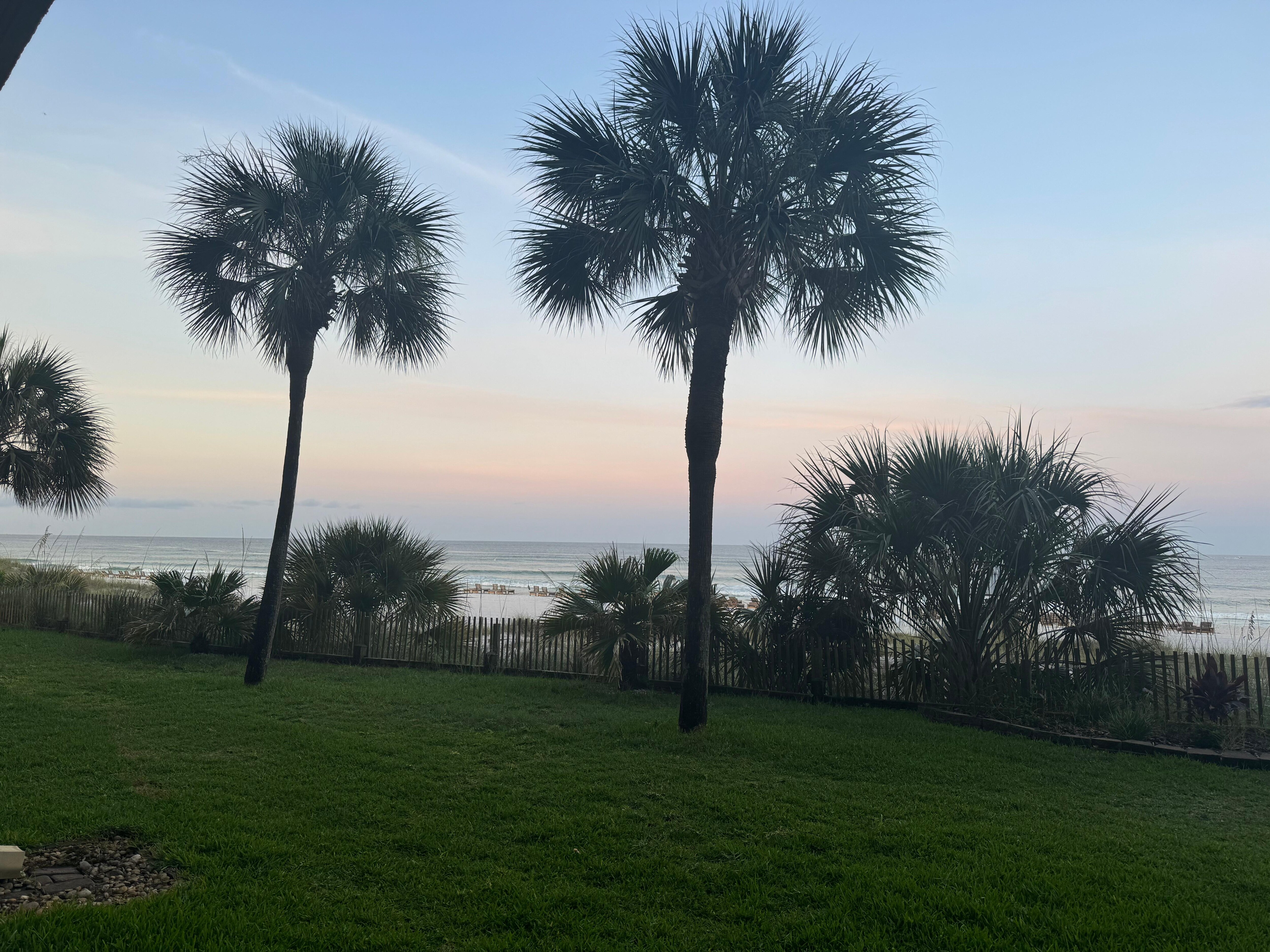 From the patio 