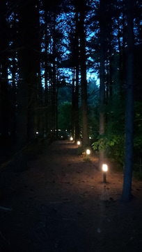 The walk to the pond.