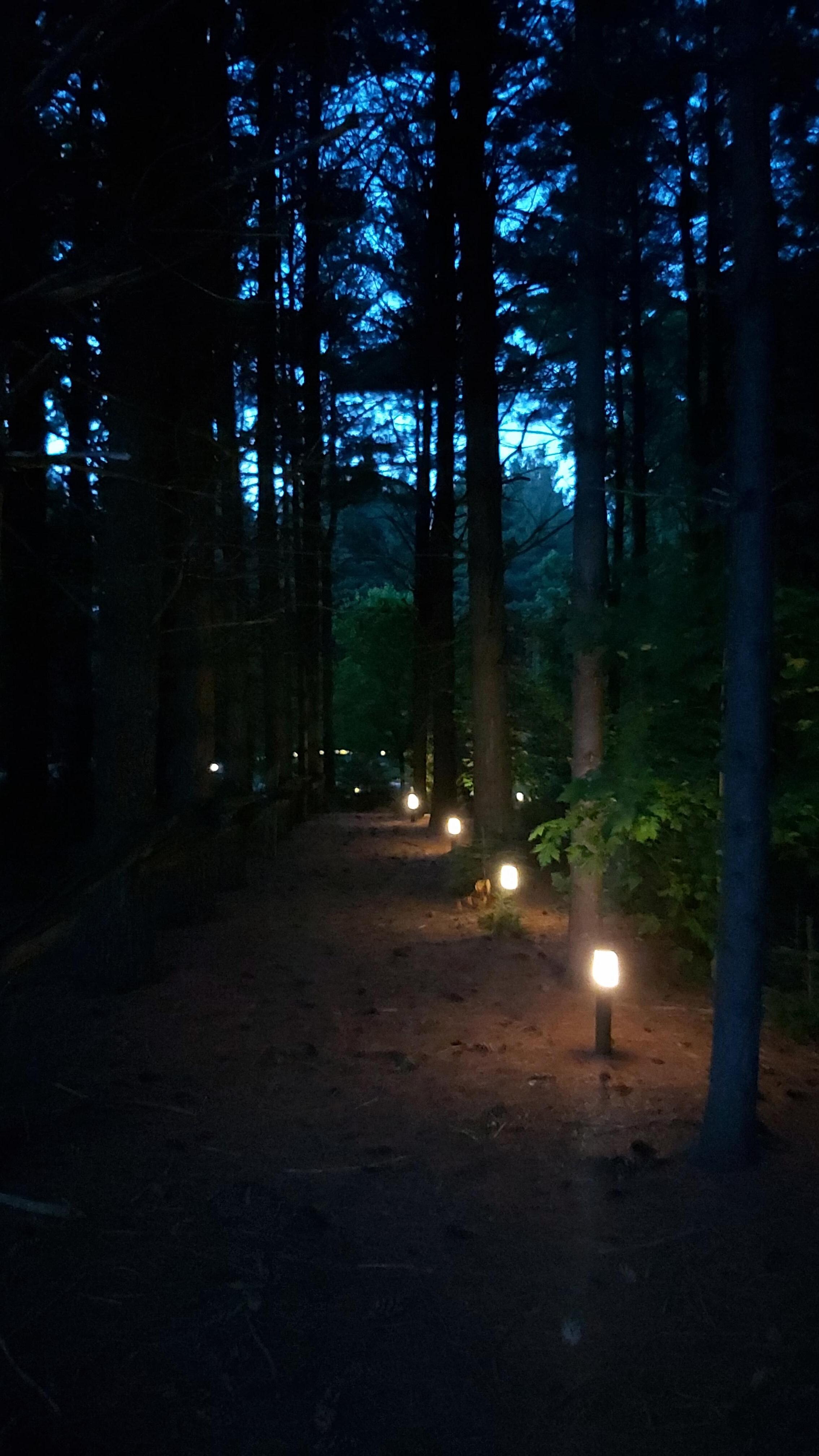 The walk to the pond.