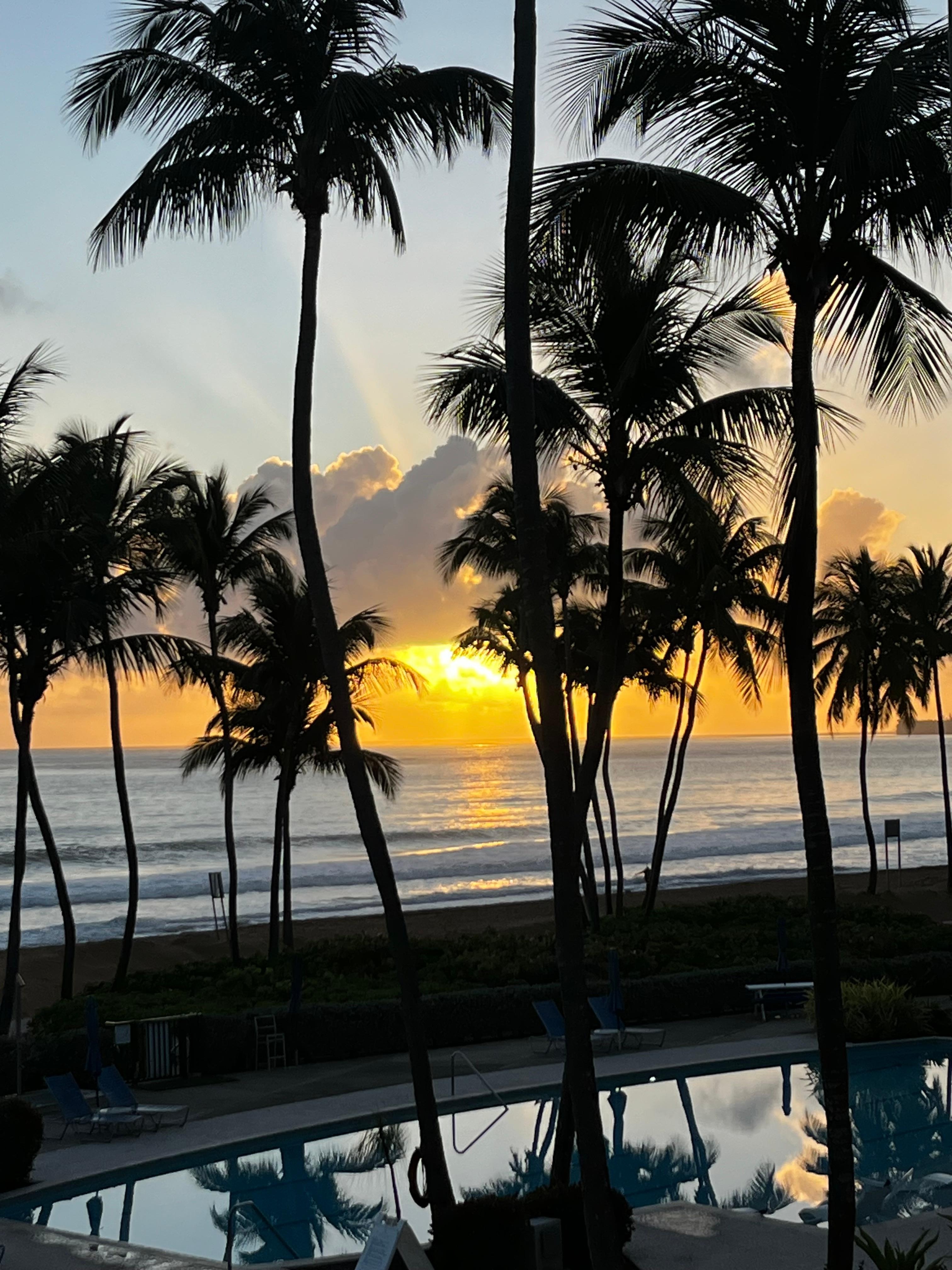 View from the balcony