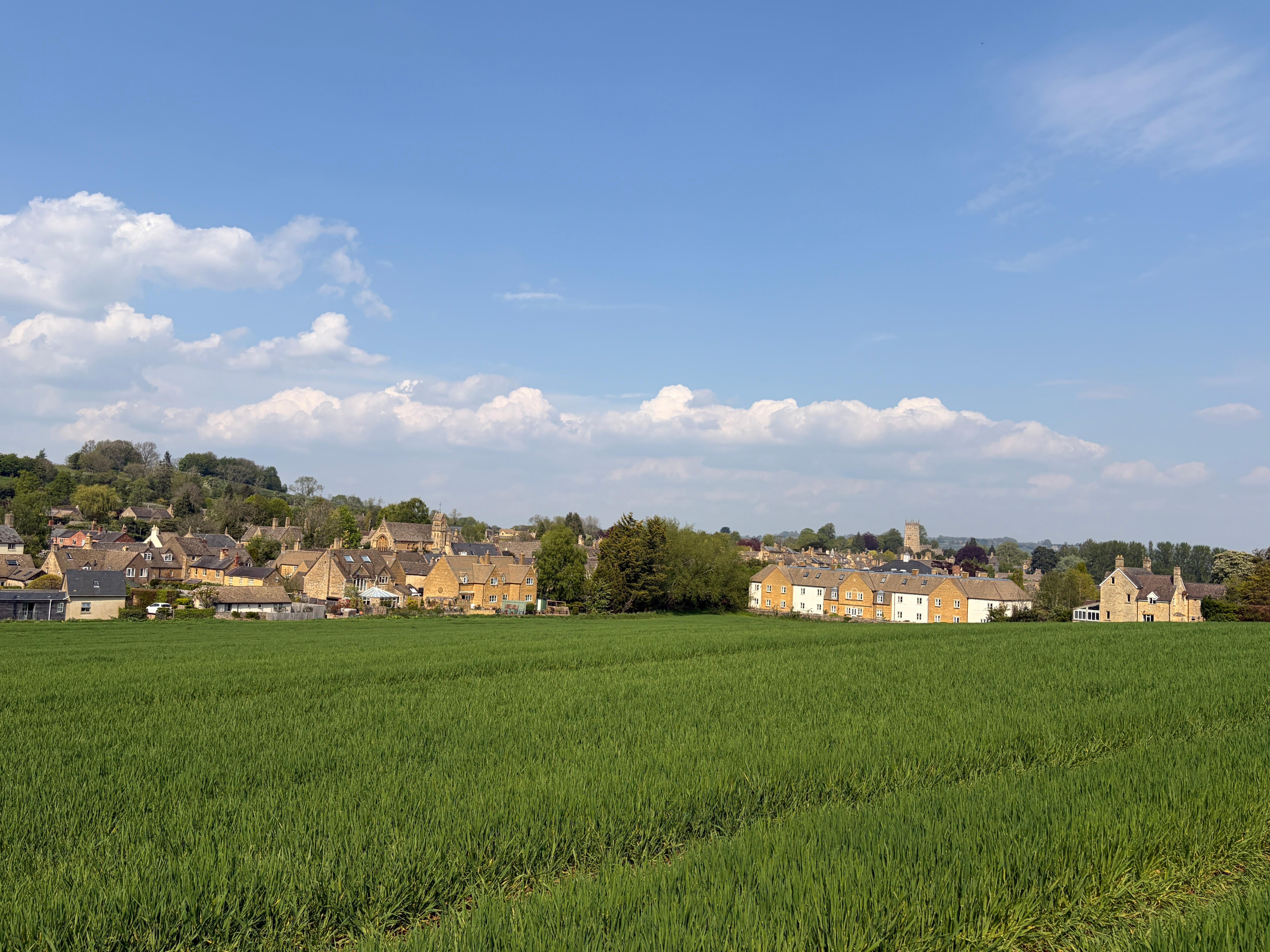 View to town from from garden