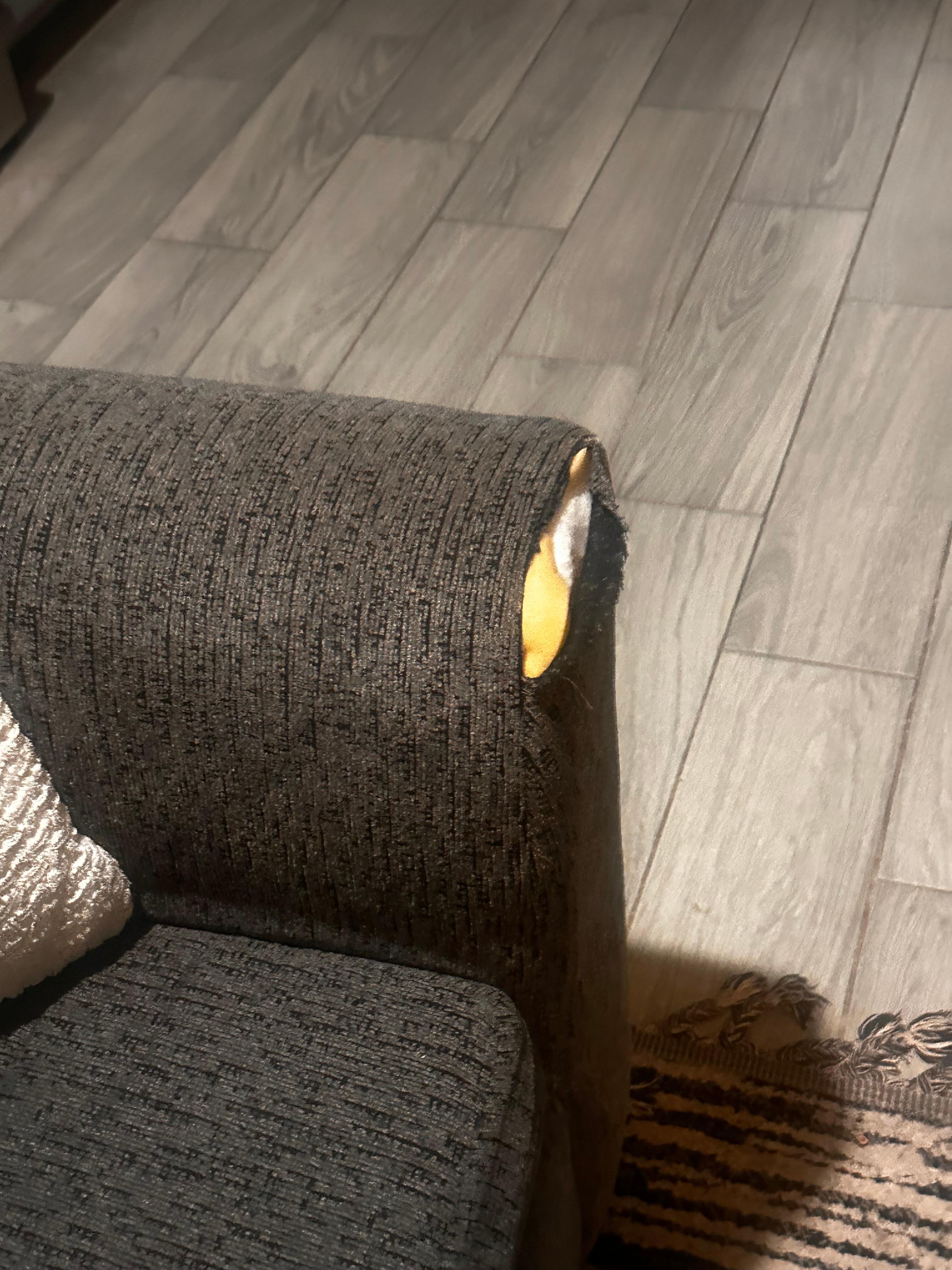 Ripped couch 