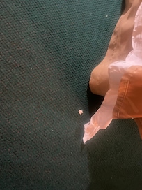 How is a chunk this big missed by cleaning staff?!?