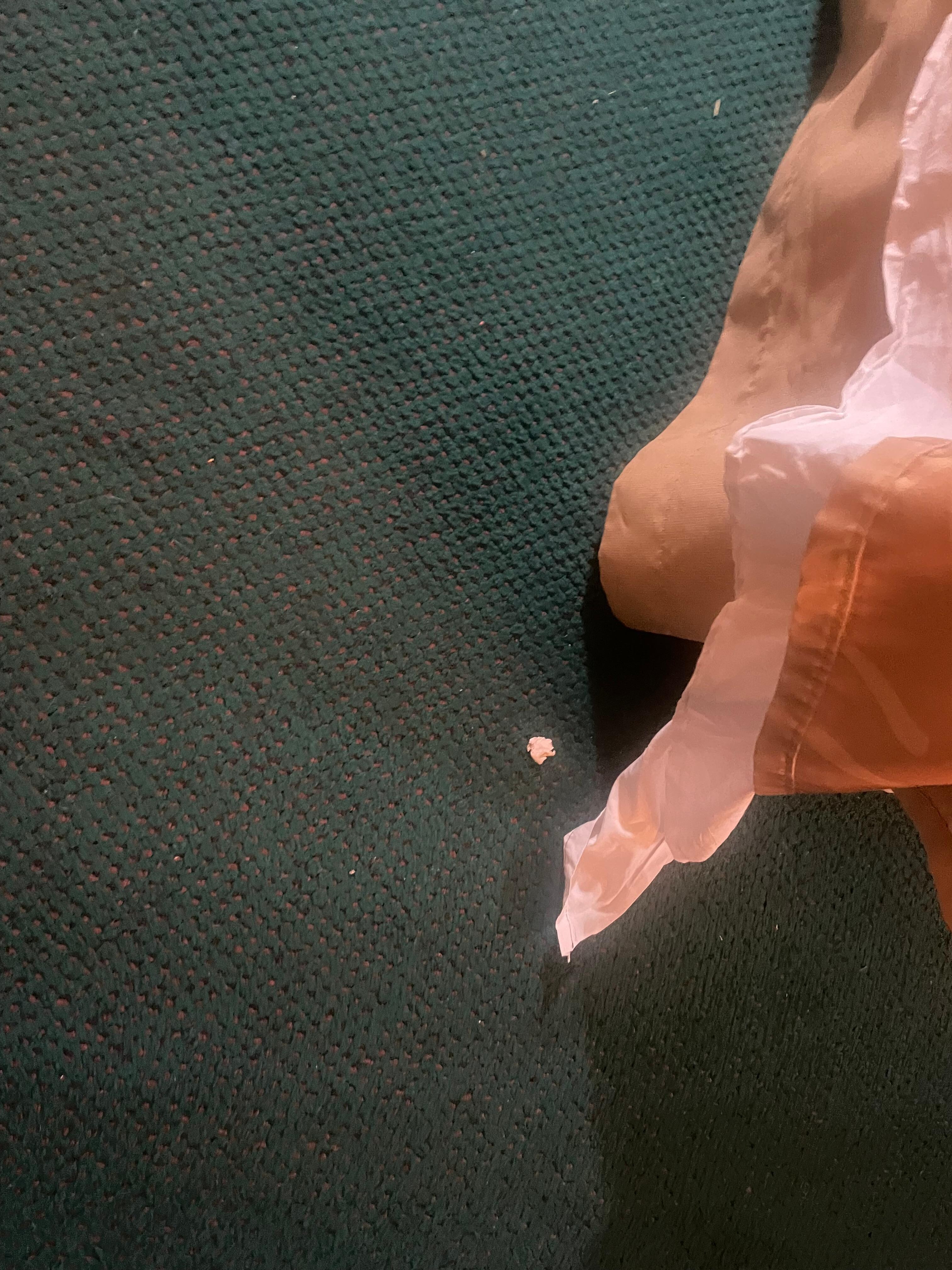 How is a chunk this big missed by cleaning staff?!?